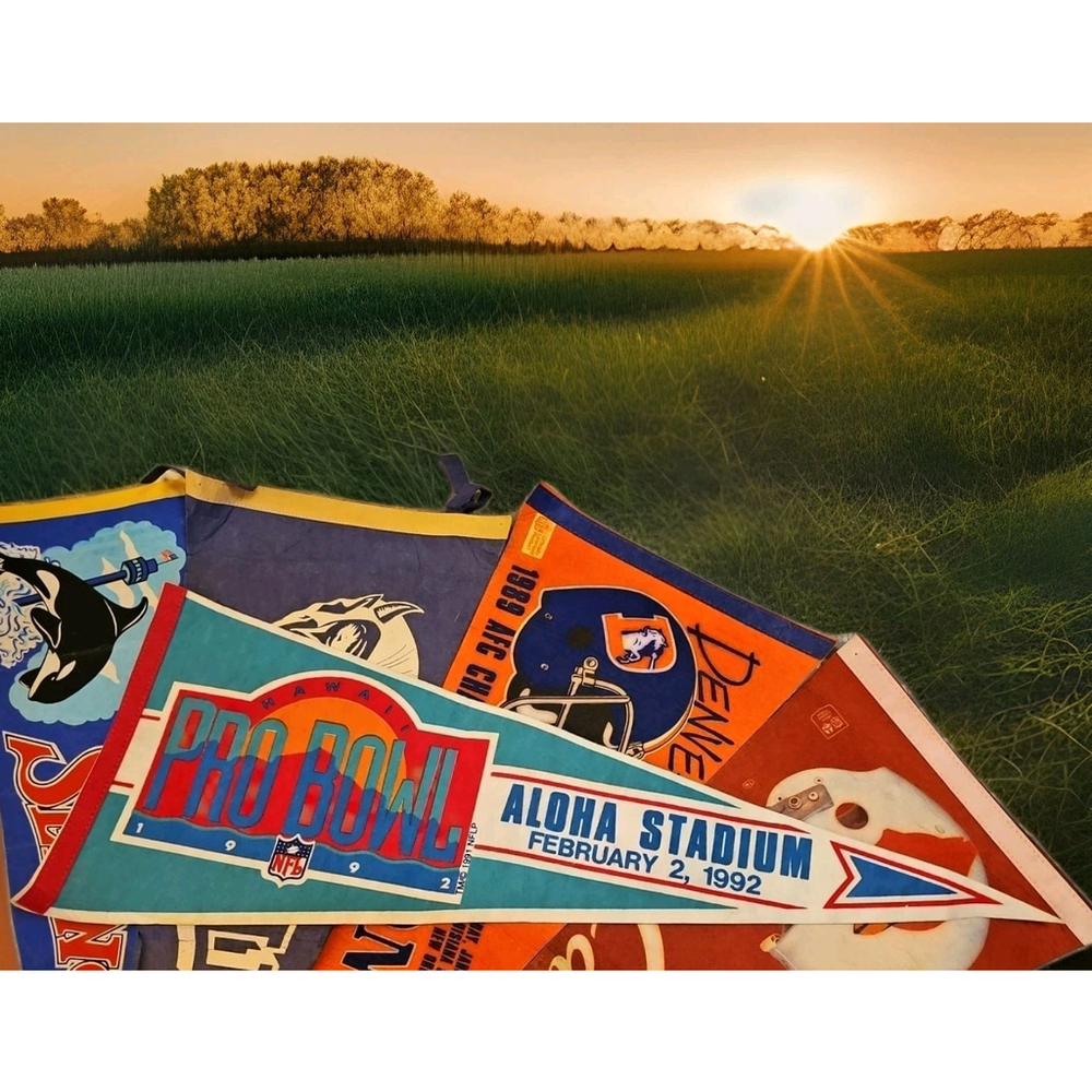 Vintage 90s 1991 NFL Pro Bowl 1992 Hawaii Aloha Stadium Pennant 30 x 12"